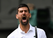 蜂鸟竞技-关于德约科维奇爆冷击败TL，赛况扑朔迷离引爆全场！的信息